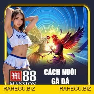 Tin Tức M88 - m88 - rahegu