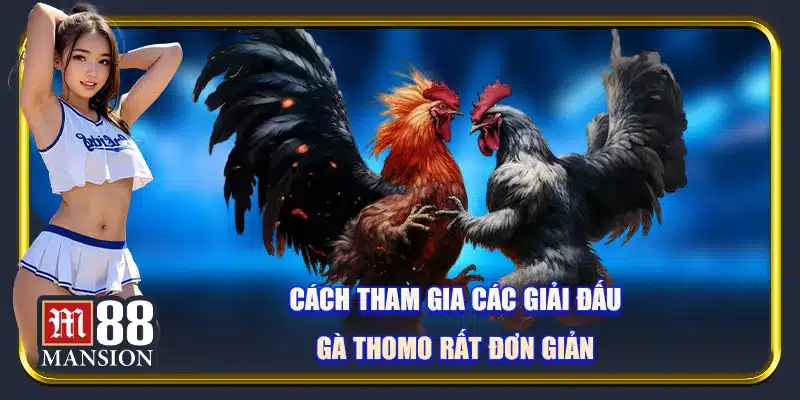 Gà Danh Thomo - Khám Phá Giới Đá gà Đầy Mê Hoặc Cùng M88 - rahegu