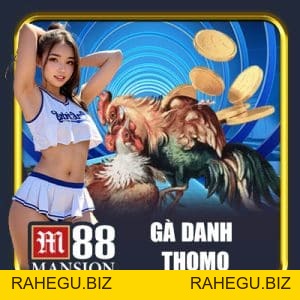 Tin Tức M88 - m88 - rahegu