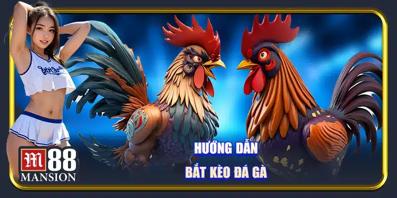 Đá Gà Online M88 - Trực Tiếp Chọi Gà Lôi Cuốn Kịch Tính Nhất - rahegu