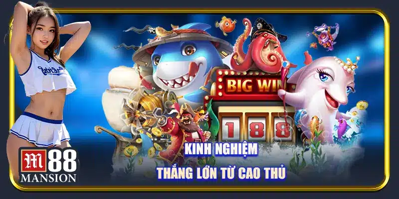 Cách Chơi Bắn Cá Online Luôn Thắng Cho Người Mới - rahegu