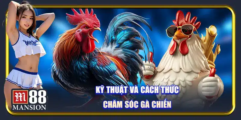 Gà Danh Thomo - Khám Phá Giới Đá gà Đầy Mê Hoặc Cùng M88 - rahegu