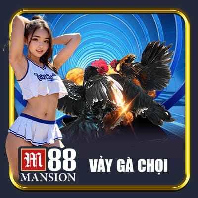Vảy gà chọi - Tìm hiểu nguồn gốc, ý nghĩa và cách phân loại - rahegu