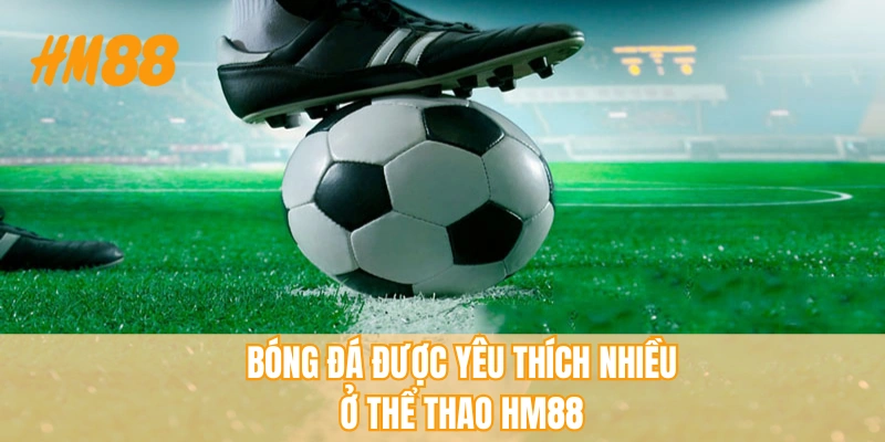 Thể Thao HM88 - Thương Hiệu Giải Trí Thịnh Hành, Hấp Dẫn - rahegu