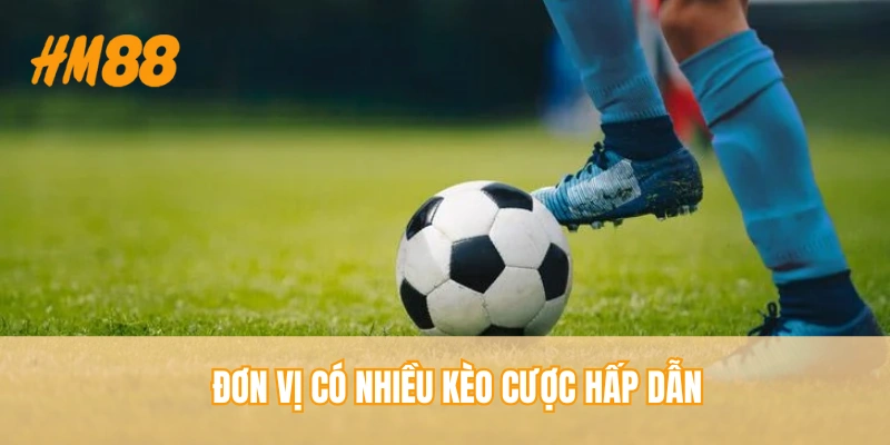 Thể Thao HM88 - Thương Hiệu Giải Trí Thịnh Hành, Hấp Dẫn - rahegu